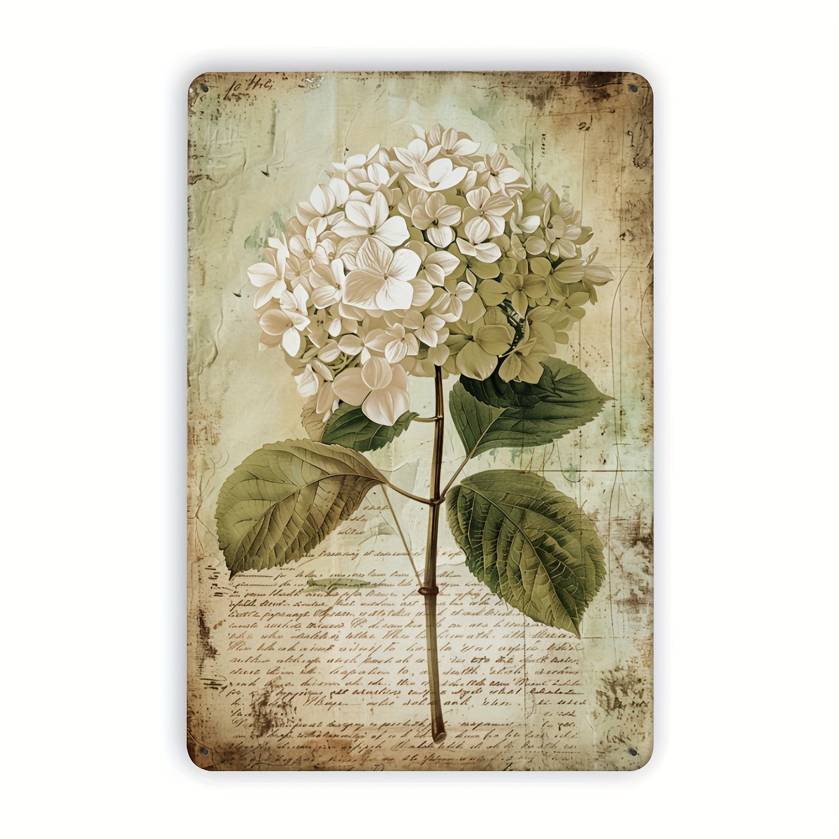 Home Gym Garage - 2D Flat, 2D Flat Hydrangea Vintage