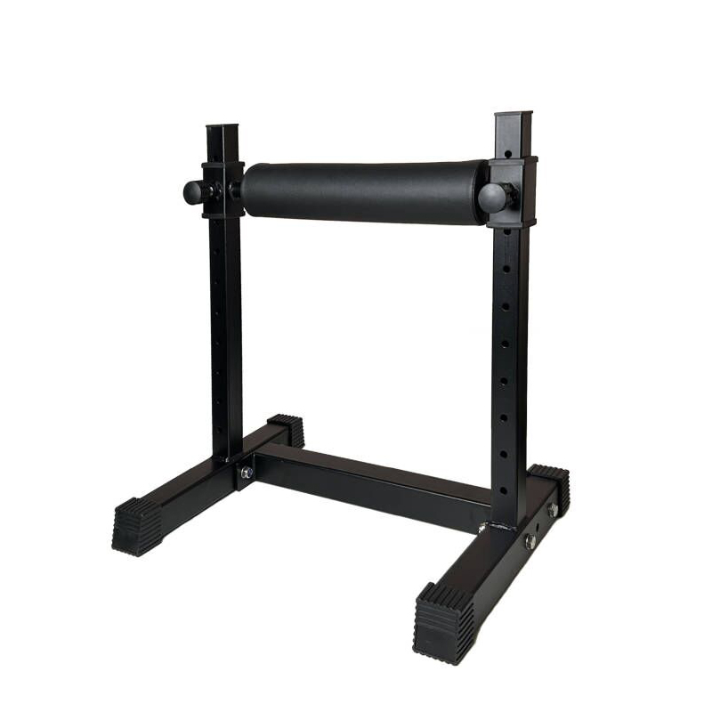 Home Gym Designs - Adjustable Single Leg Squat Stand -
