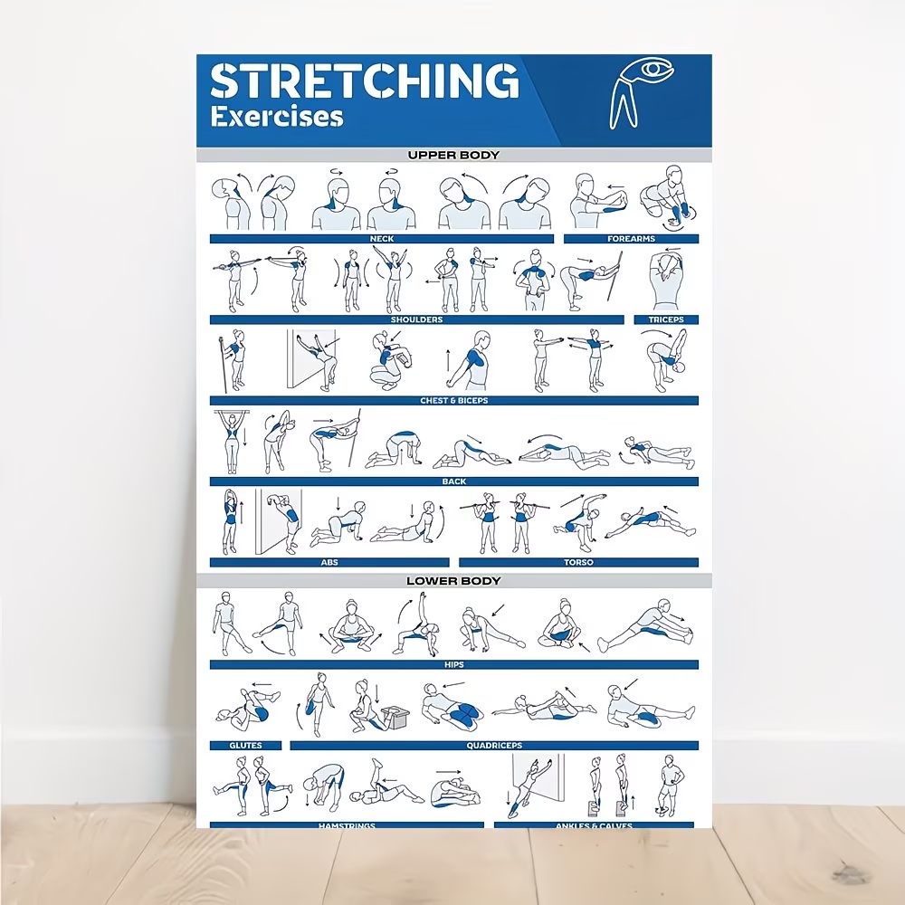 Modern Labeled Full-Body Stret - Home Gym Room recension och pris