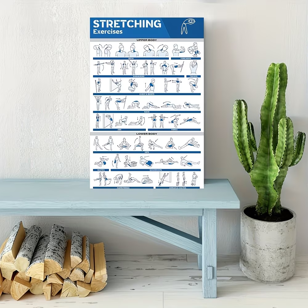 Modern Labeled Full-Body Stret - Home Gym Room recension och pris