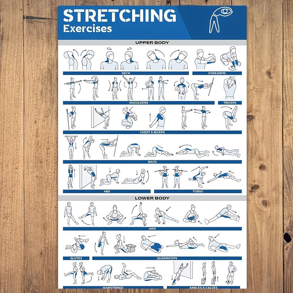 Modern Labeled Full-Body Stret - Home Gym Room recension och pris