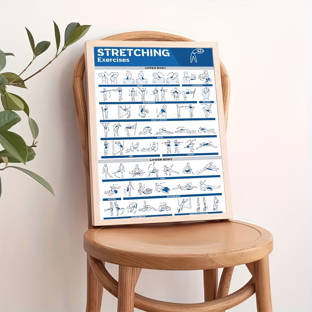 Modern Labeled Full-Body Stret - Home Gym Room recension och pris