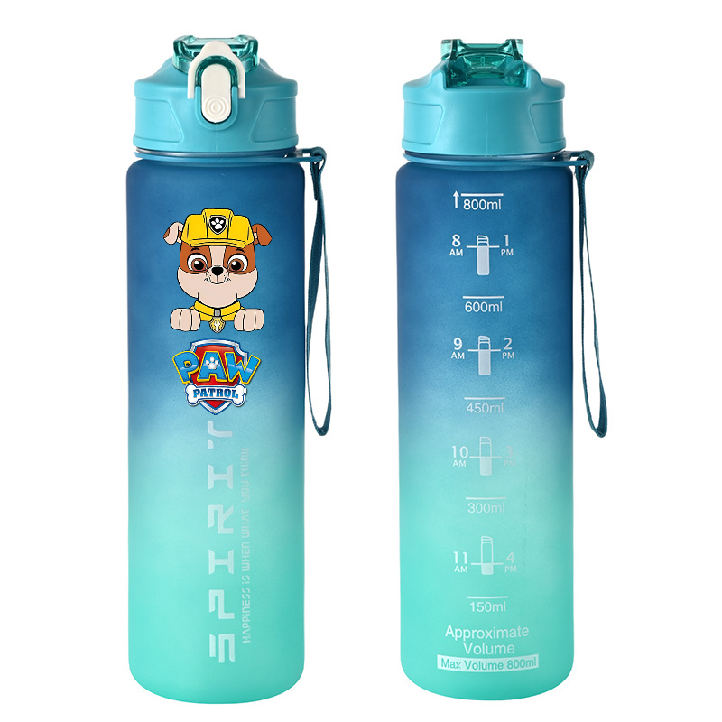 800ml PAW Patrol Sports Water  - Home Gym Room recension och pris