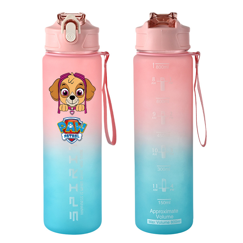 800ml PAW Patrol Sports Water  - Home Gym Room recension och pris