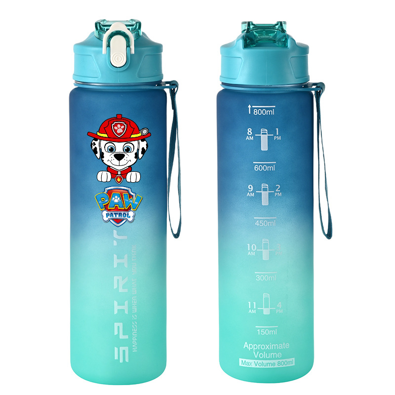 800ml PAW Patrol Sports Water  - Home Gym Room recension och pris