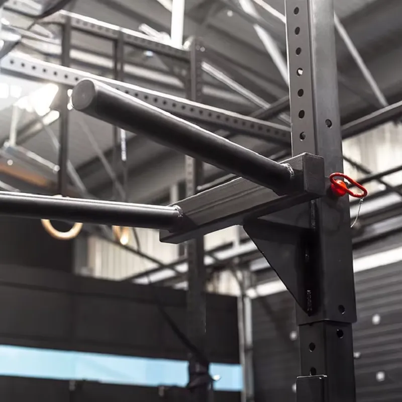 Adjustable Dip Station Power R - Dip Station Parallel recension och pris